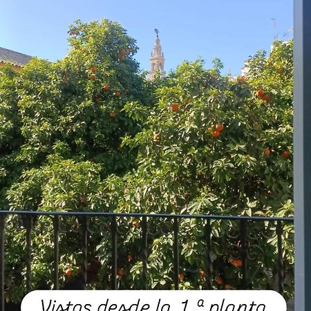 Apartamentos En La Plaza Dona Elvira, 7 Sevilla Dış mekan fotoğraf