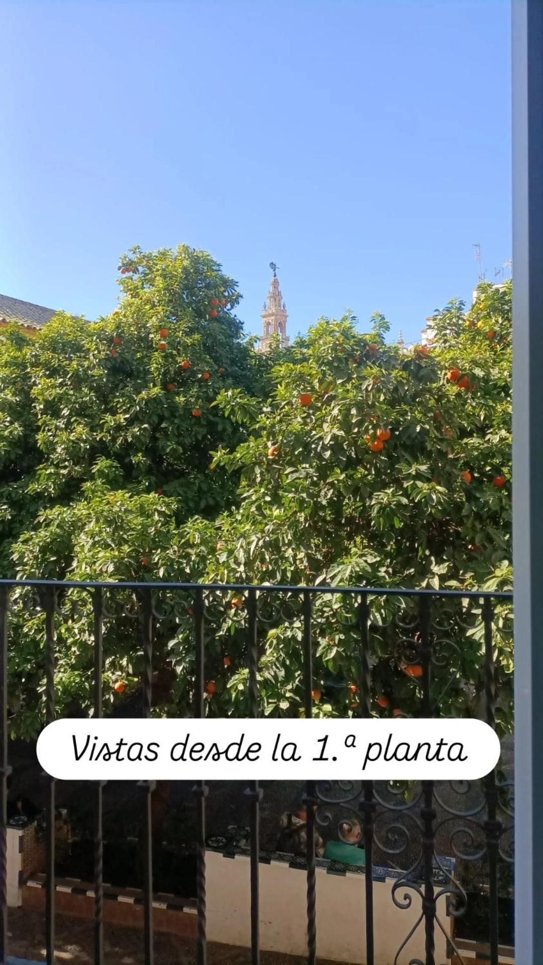 Apartamentos En La Plaza Dona Elvira, 7 Sevilla Dış mekan fotoğraf