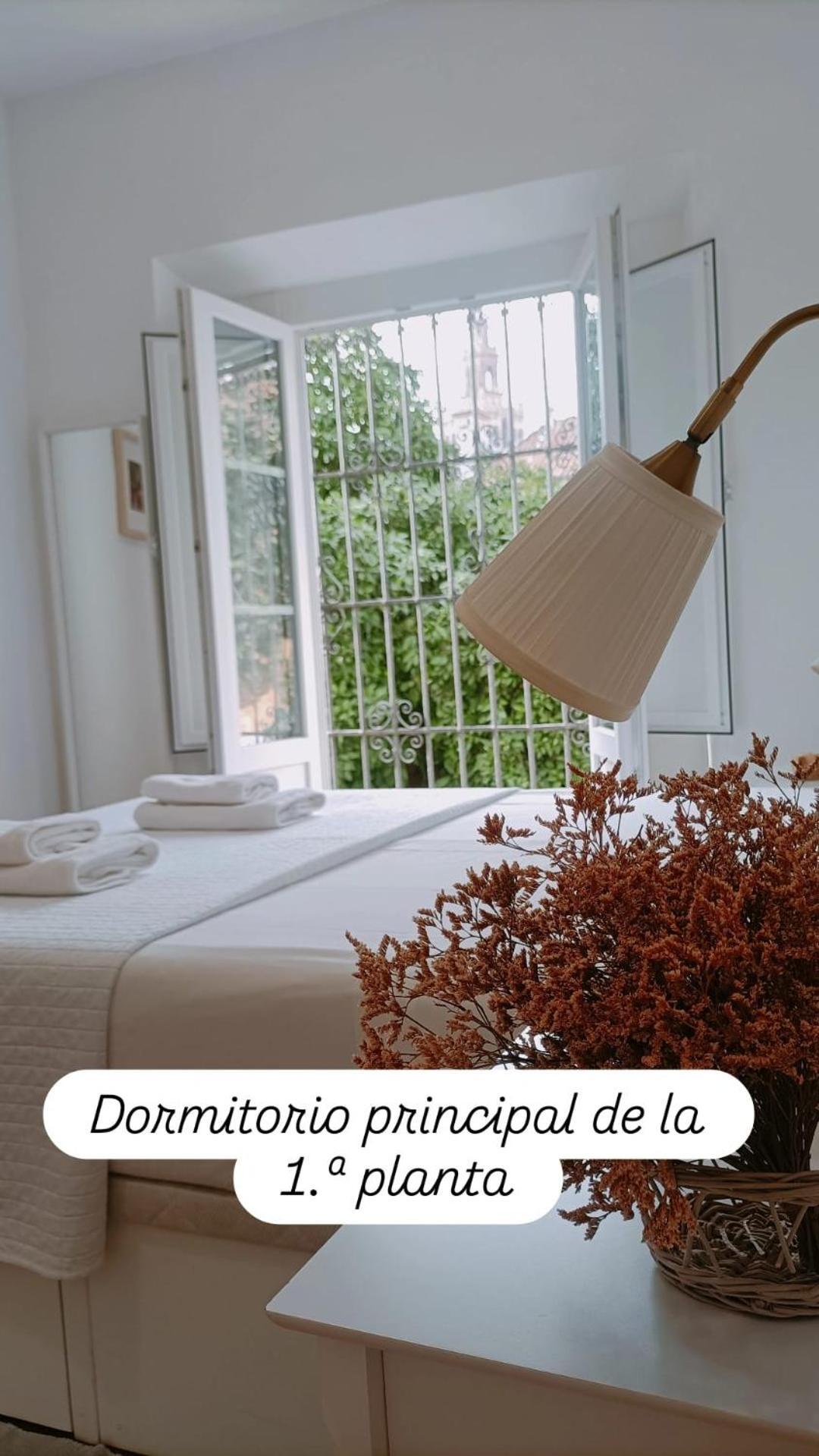 Apartamentos En La Plaza Dona Elvira, 7 Sevilla Dış mekan fotoğraf